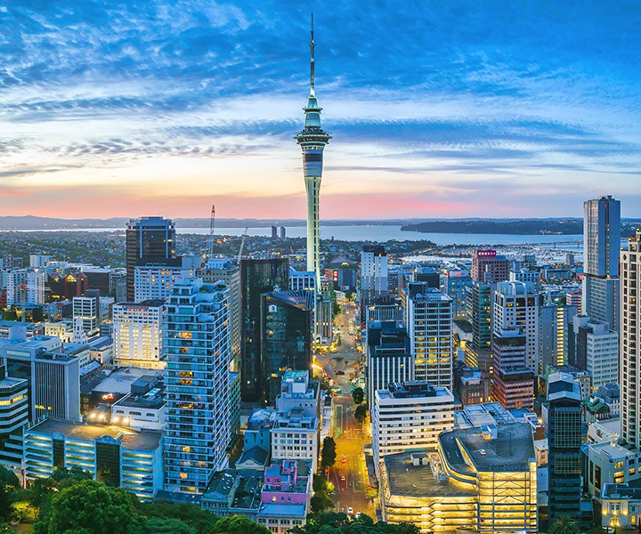 Study in New Zealand